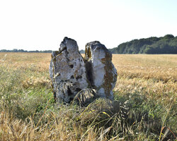 Le menhir de Neauphlette