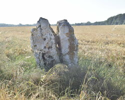 Le menhir de Neauphlette