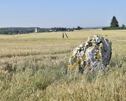 Le menhir de Neauphlette